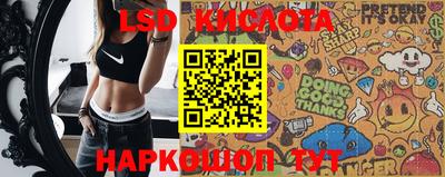 стаф Шелехов