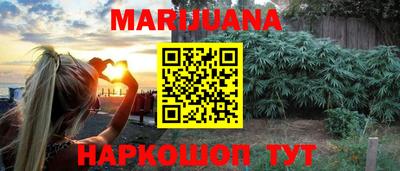 стаф Шелехов