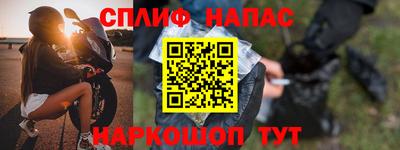 стаф Шелехов