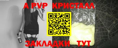 стаф Шелехов