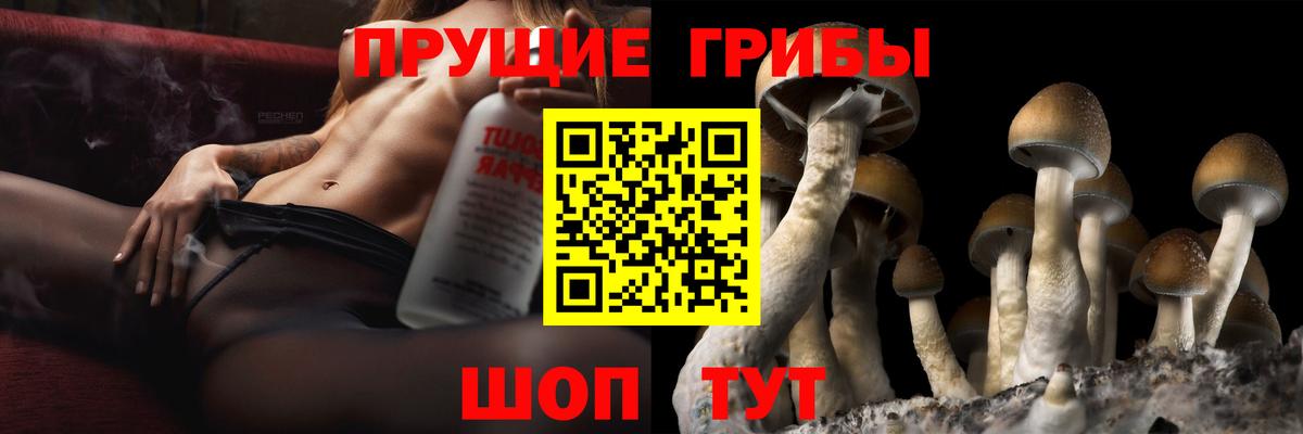Псилоцибиновые грибы мицелий  Вход с VPN  Кулебаки 